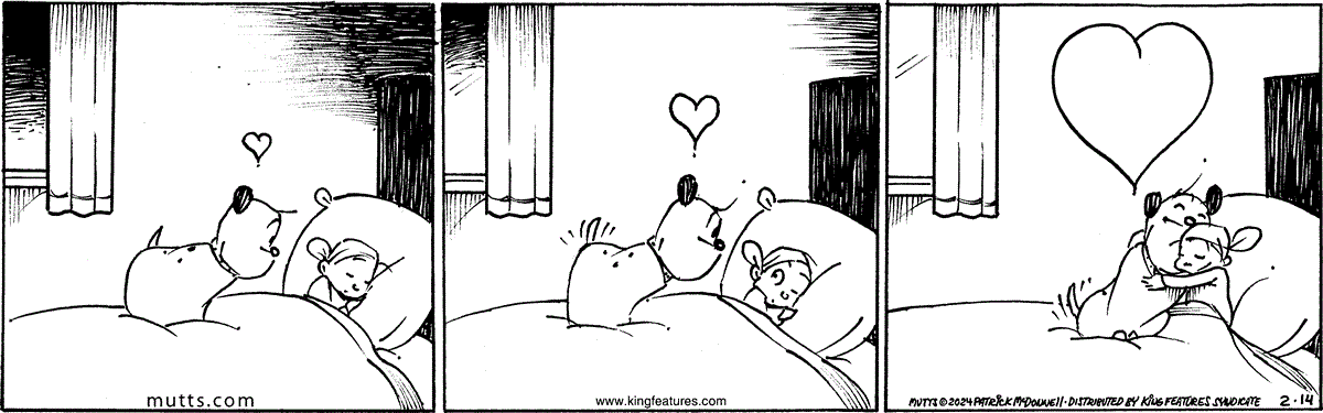 February 14 2024, Daily Comic Strip