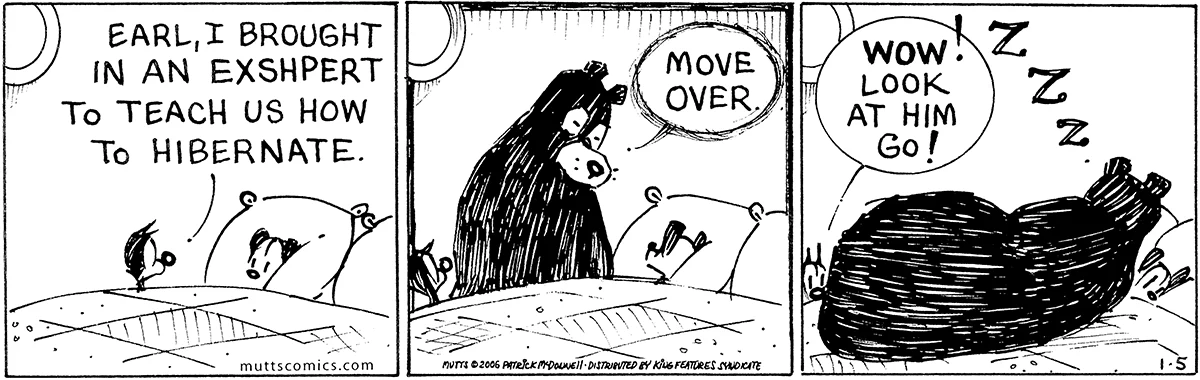 January 5 2006, Daily Comic Strip