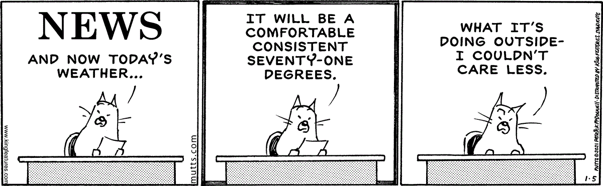 January 5 2021, Daily Comic Strip
