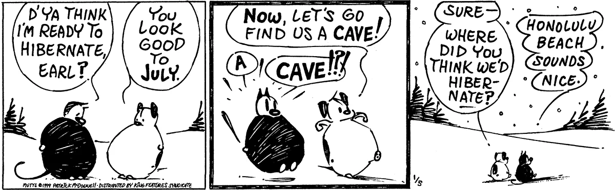 January 5 1999, Daily Comic Strip
