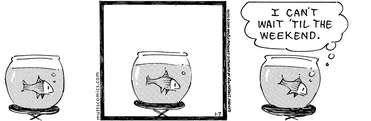 January 7 2004, Daily Comic Strip