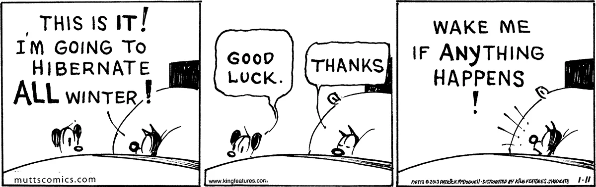 January 11 2013, Daily Comic Strip