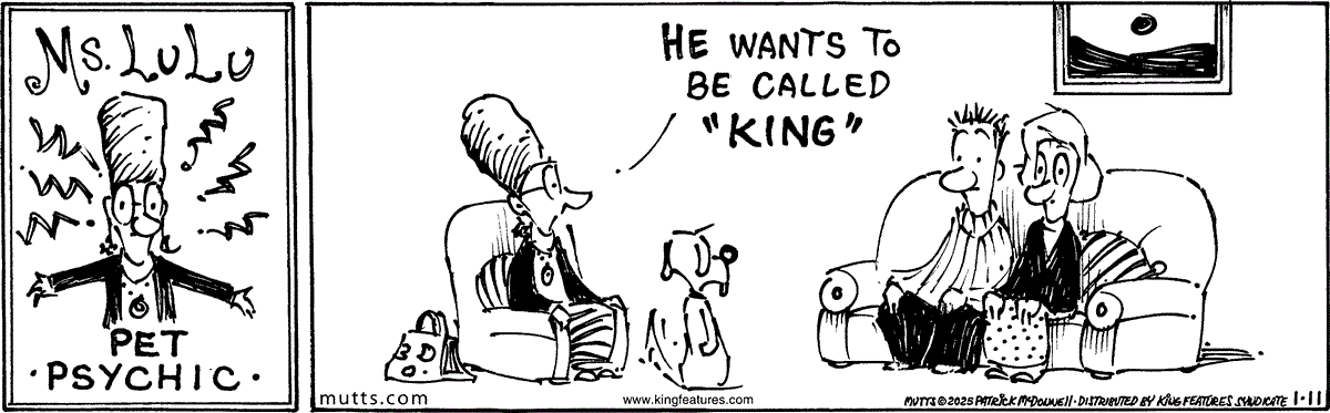 January 11 2025, Daily Comic Strip