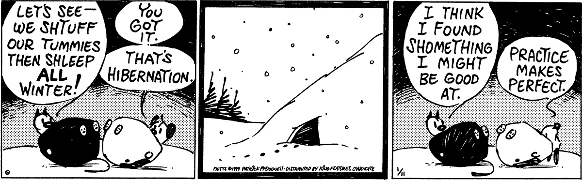 January 11 1999, Daily Comic Strip