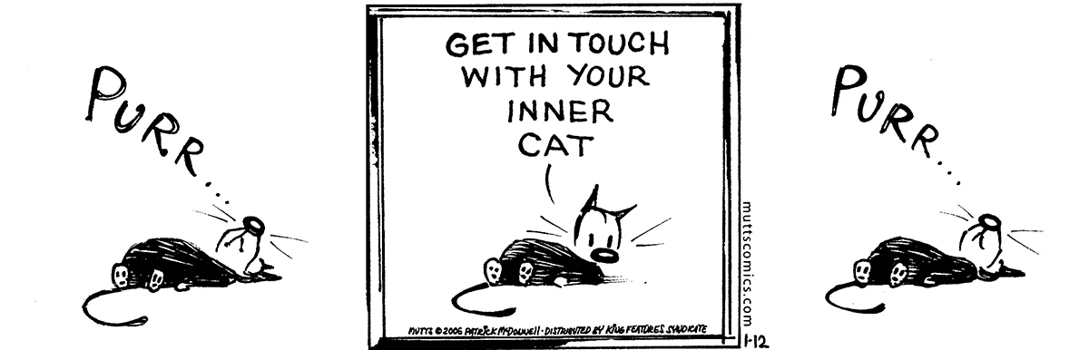 January 12 2006, Daily Comic Strip