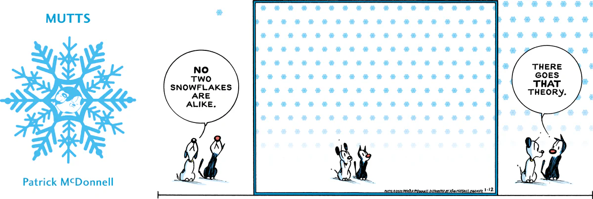 January 12 2020, Sunday Comic Strip