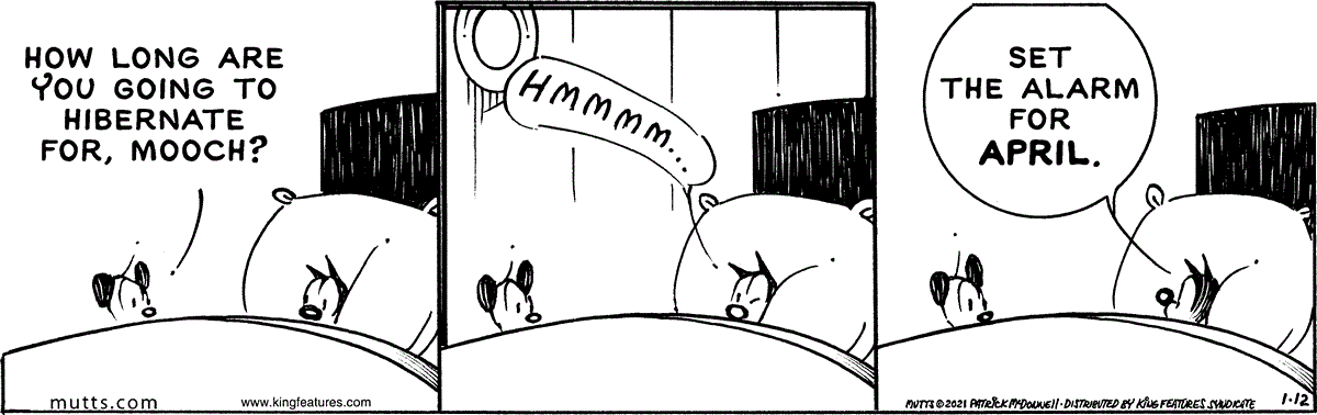 January 12 2021, Daily Comic Strip