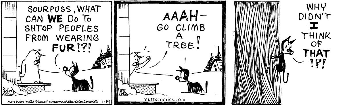 January 14 2004, Daily Comic Strip