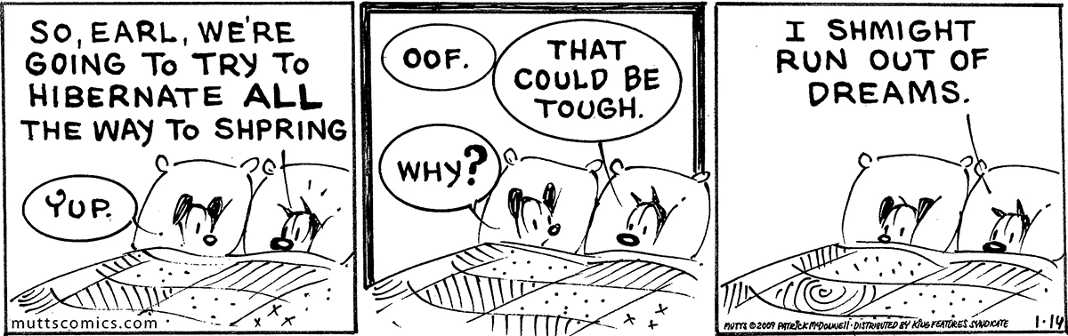 January 14 2009, Daily Comic Strip