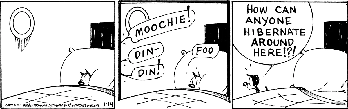 January 14 2011, Daily Comic Strip