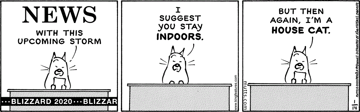 January 14 2020, Daily Comic Strip