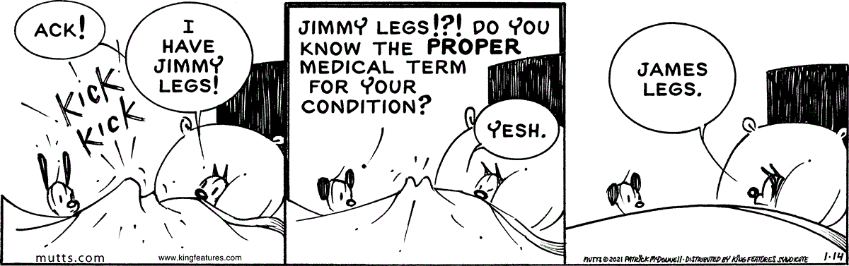 January 14 2021, Daily Comic Strip