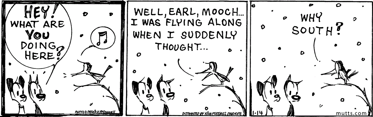 January 14 2025, Daily Comic Strip