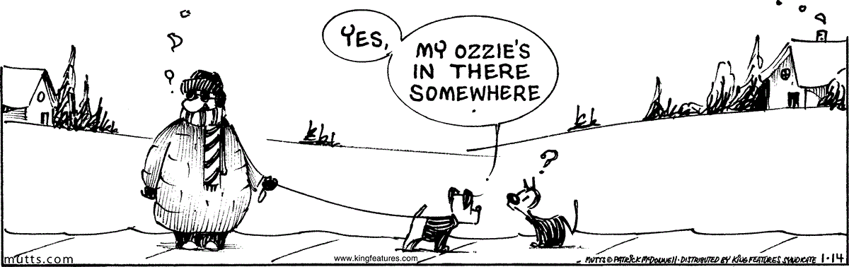 January 14 2026, Daily Comic Strip