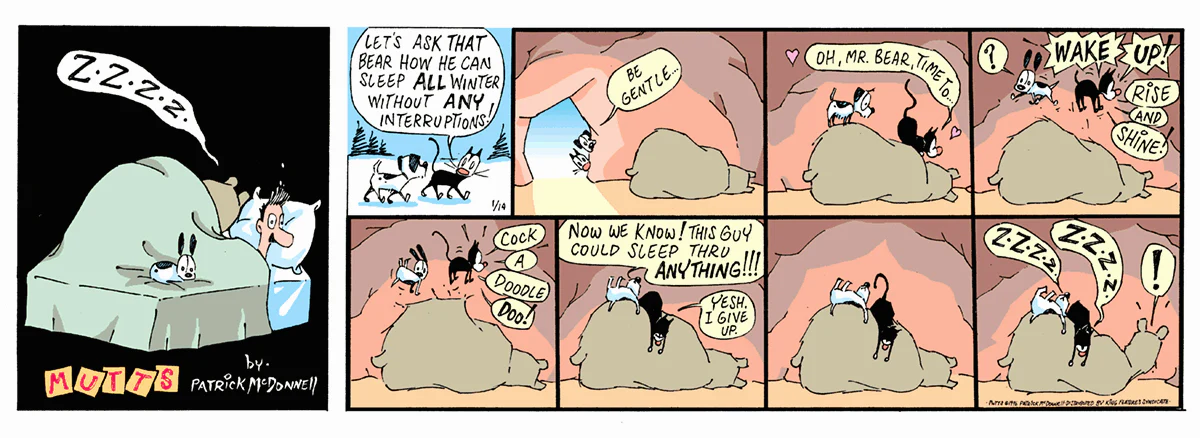 January 14 1996, Sunday Comic Strip