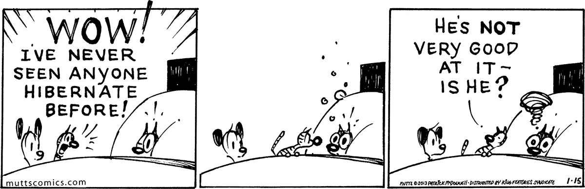 January 15 2013, Daily Comic Strip