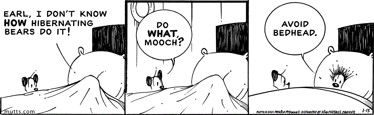 January 15 2021, Daily Comic Strip