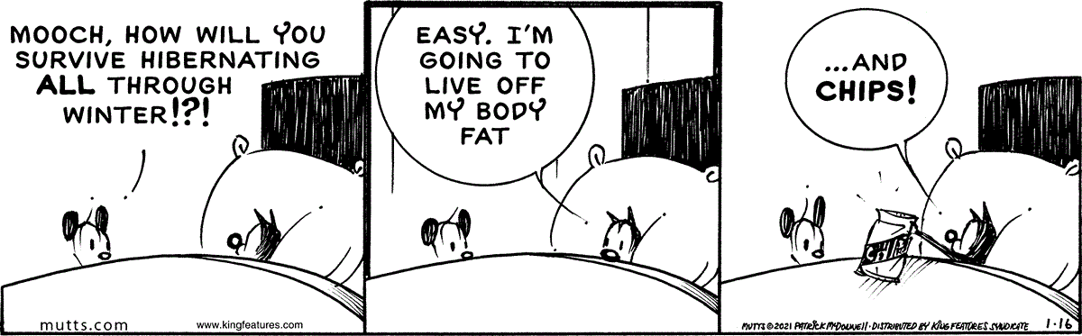 January 16 2021, Daily Comic Strip