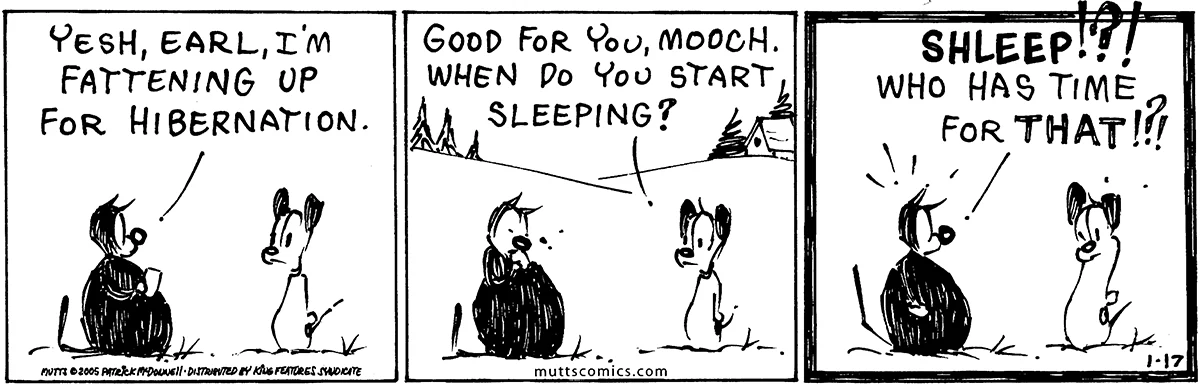 January 17 2005, Daily Comic Strip