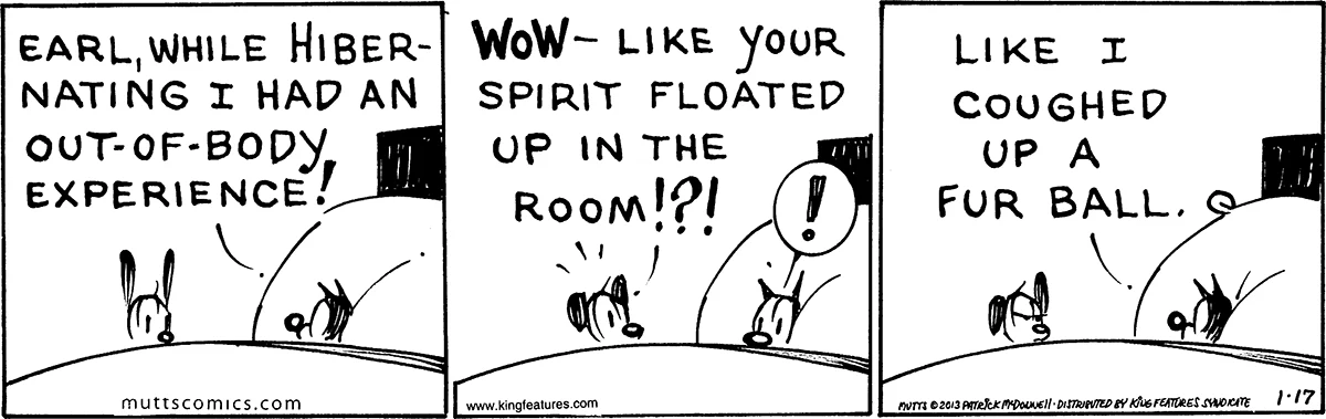 January 17 2013, Daily Comic Strip