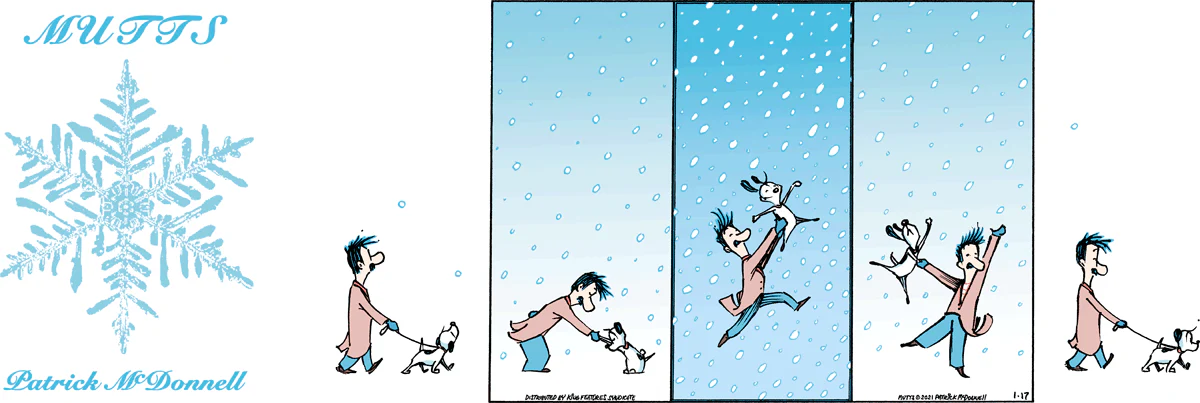 January 17 2021, Sunday Comic Strip