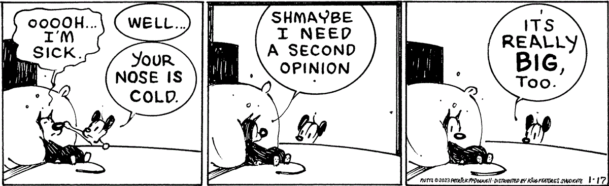 January 17 2023, Daily Comic Strip