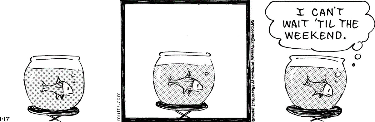January 17 2024, Daily Comic Strip