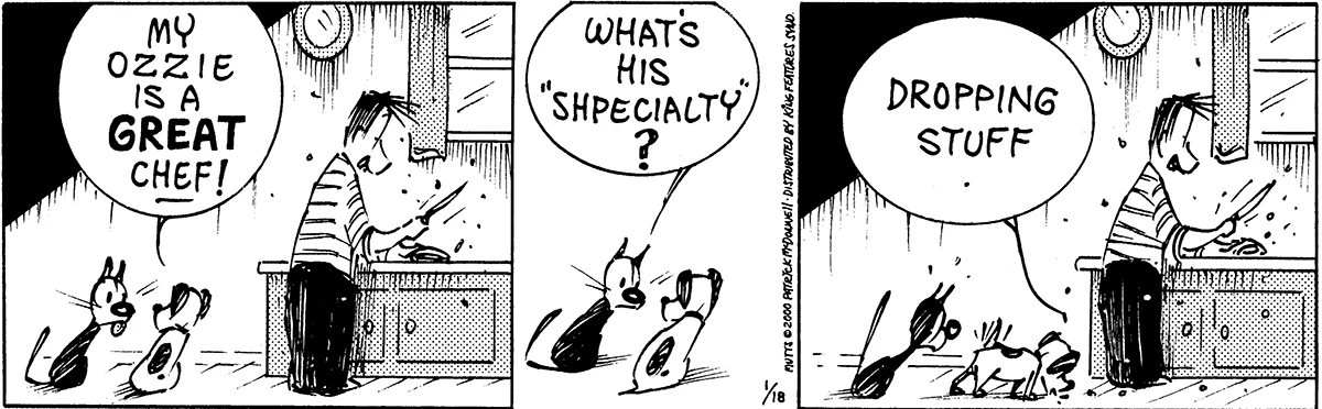 January 18 2000, Daily Comic Strip
