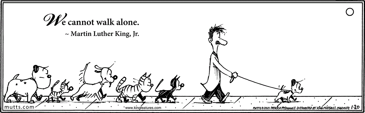 January 20 2021, Daily Comic Strip