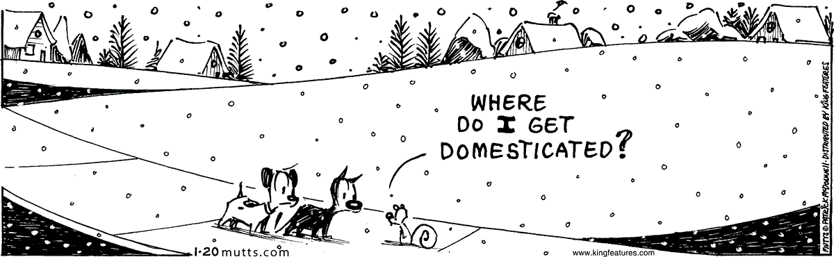 January 20 2024, Daily Comic Strip