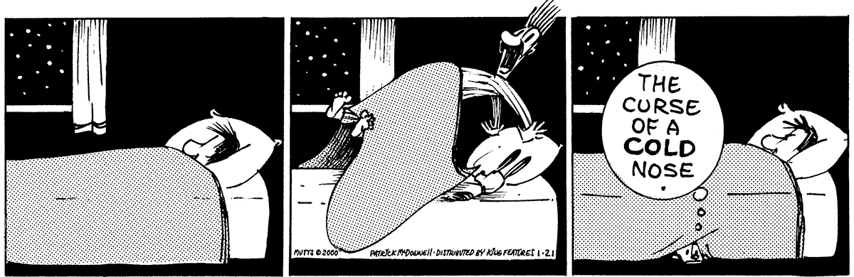 January 21 2000, Daily Comic Strip