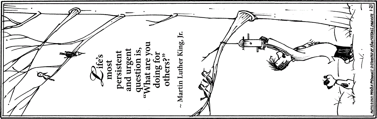 January 21 2021, Daily Comic Strip
