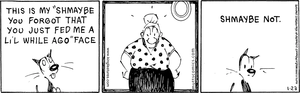 January 23 2008, Daily Comic Strip