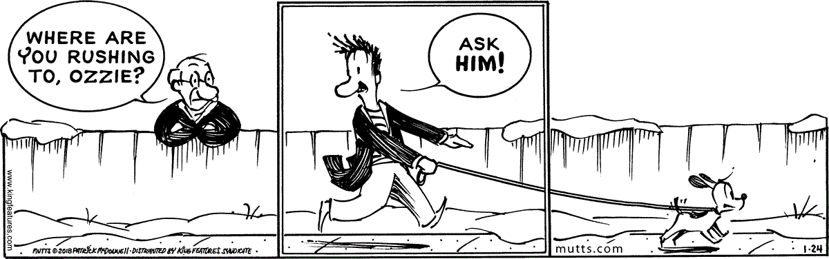 January 24 2018, Daily Comic Strip