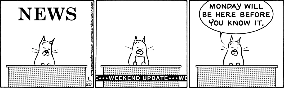 January 25 2014, Daily Comic Strip
