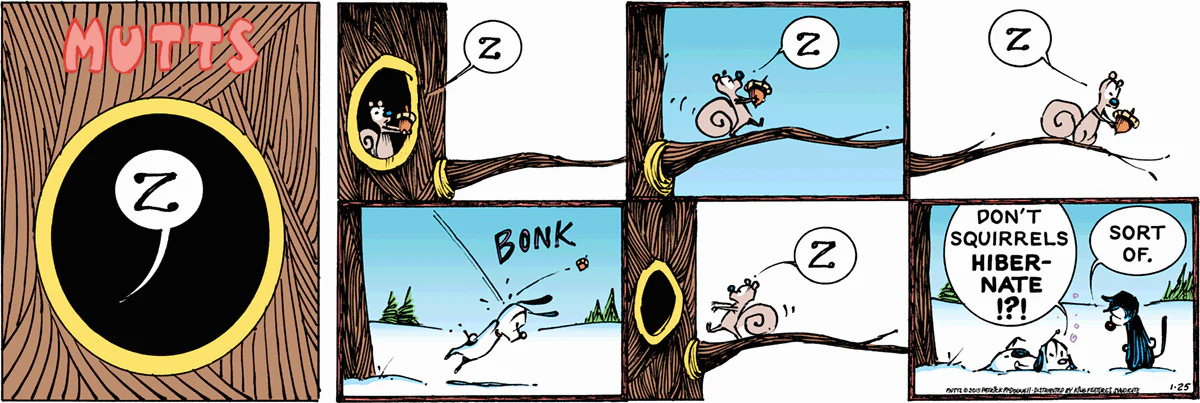 January 25 2015, Sunday Comic Strip