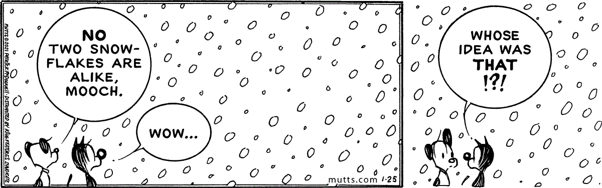 January 25 2021, Daily Comic Strip