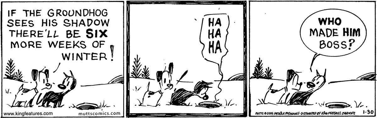 January 30 2006, Daily Comic Strip