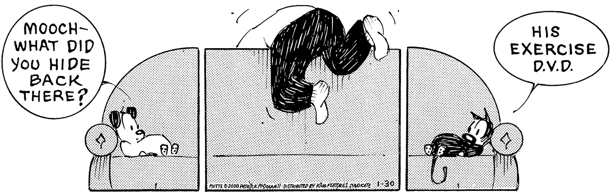 January 30 2008, Daily Comic Strip