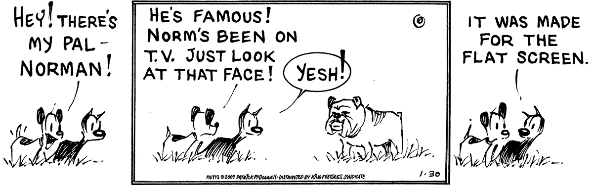 January 30 2009, Daily Comic Strip