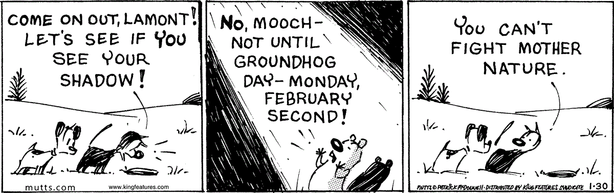 January 30 2026, Daily Comic Strip