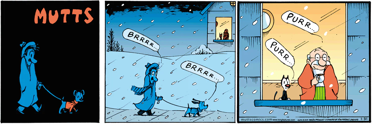 January 31 2010, Sunday Comic Strip