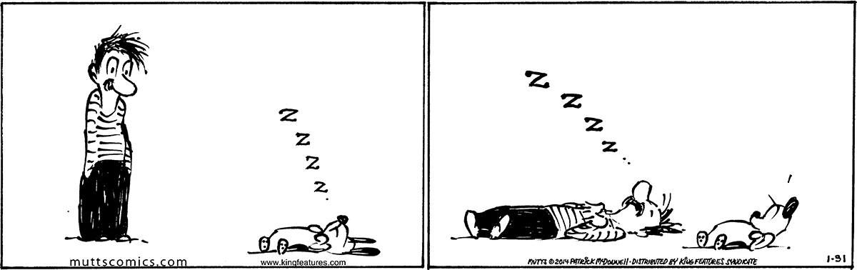 January 31 2014, Daily Comic Strip