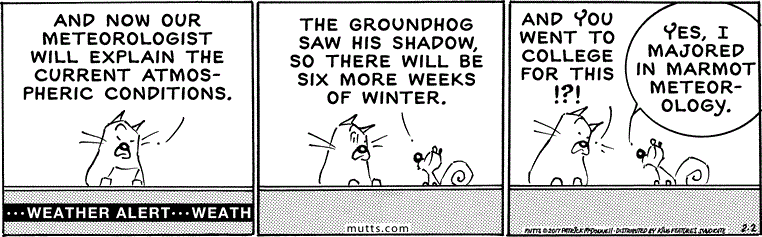 February 2 2017, Daily Comic Strip