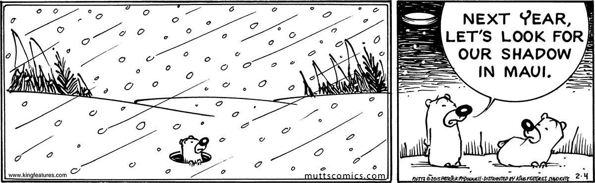 February 4 2015, Daily Comic Strip