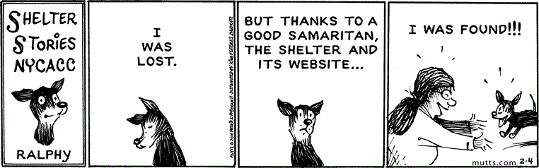February 4 2016, Daily Comic Strip