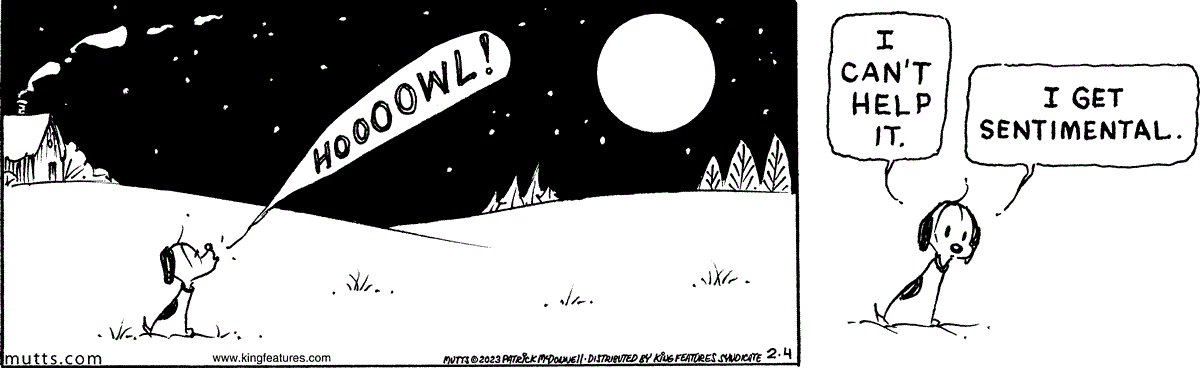 February 4 2023, Daily Comic Strip