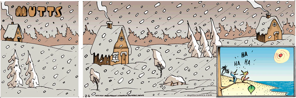 February 6 2011, Sunday Comic Strip