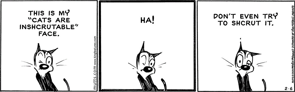 February 6 2020, Daily Comic Strip