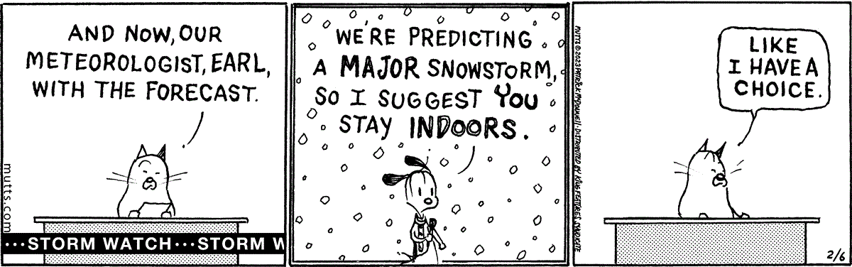 February 6 2023, Daily Comic Strip